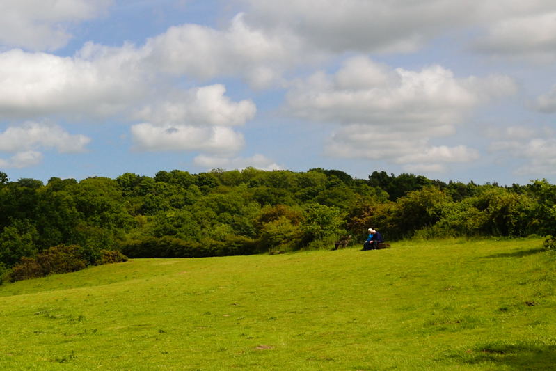The Grassy Bank behind Salhouse Broad