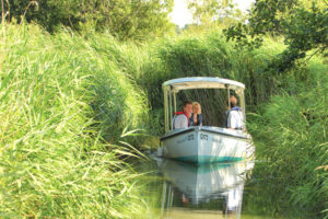 The Electric Eel Trip Boat Exploring the Marshes
