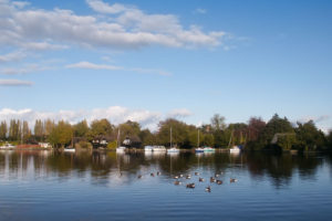 South Walsham Broad