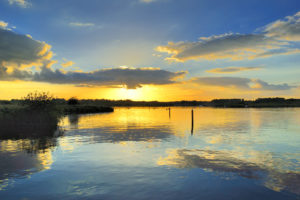 Pleasure Hill Island on Barton Broad